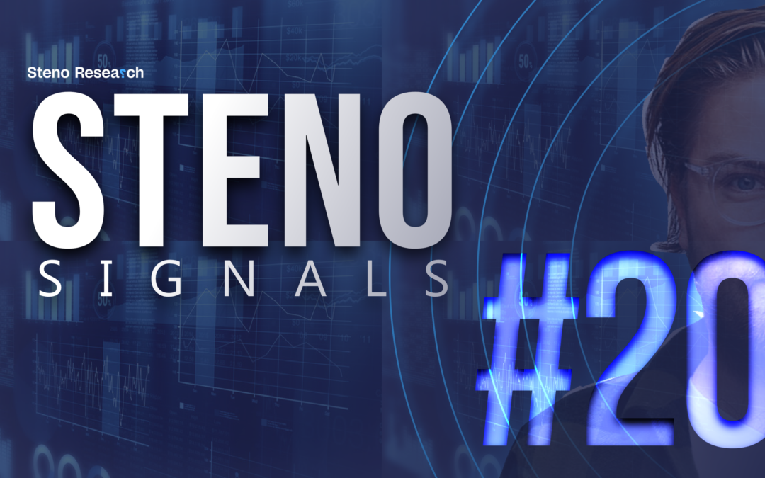 Steno Signals #20 – NO soft landing unless central banks admit to disinflation