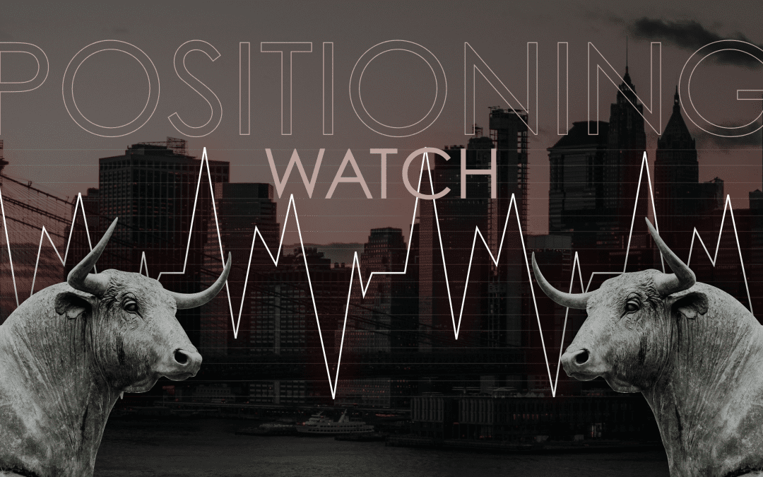 Positioning Watch – Turning our attention to Institutions and Fund Flows