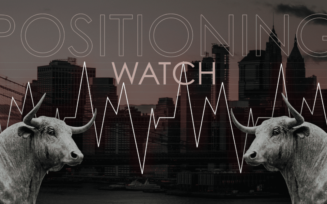 Positioning Watch – Low FX volatility provides cheap leverage for a rebound in manufacturing